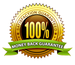 The Harlequin Experience