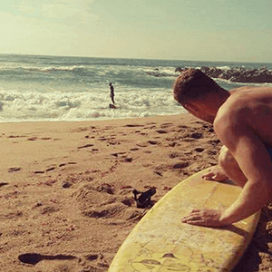 The Harlequin Experience