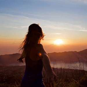 The Harlequin Experience